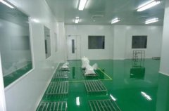 制藥企業(yè)GMP潔凈室溫濕度控制設(shè)計(jì)